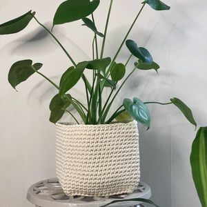 Cream Knit Plant Pot Sweater